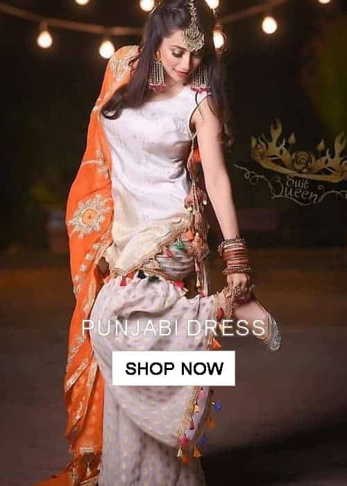 Pakistani punjabi hot sale dress