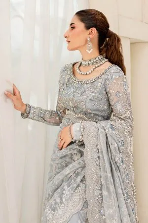 Saree Designs for Girls 2023 Pakistani Silk Saree, Chiffon Party Wear Sari
