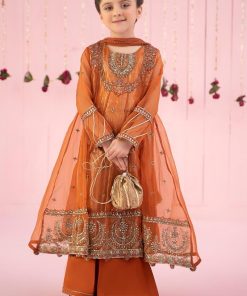 MariaB 3 PIECE EMBROIDERED ORGANZA SHARARA SUITS MBKS-EF2426RT