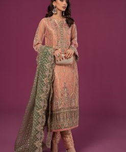 Luxury Formal Peach Organza Embroidered Suit MBSF-EF2437PG