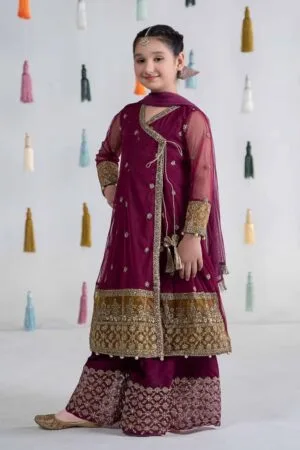 MariaB Purple Embroidered Net Angrakha Suit MBKS-EA2436PP