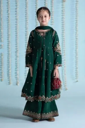Mariab Dark Green Embroidered Raw Silk Suit Mbks-Ea2427Dg