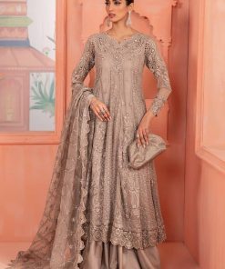 Luxury Formal Taupe Embroidered Net Outfit MBSF-PF2403TG