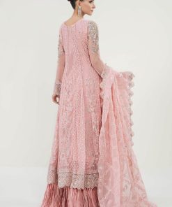 Luxury Formal Pink Embroidered Net Outfit Mbsf-Pf2403Bp 8 Sfpf2403Pinka Imanistudio.com