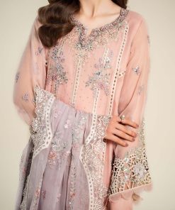 Luxury Formal Light Pink Embroidered Chiffon Suit Mbcs-Aw24106Lp 12 D 6 Peache Imanistudio.com
