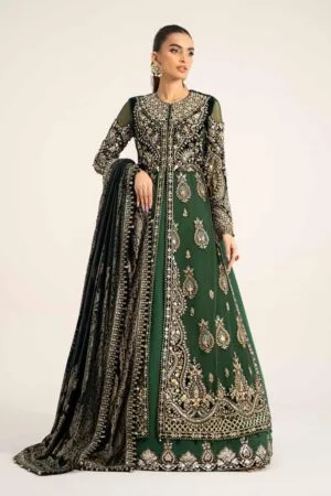 Luxury Formal Dark Green 2 Pcs Embroidered Organza Dress Mbds-W2904Db