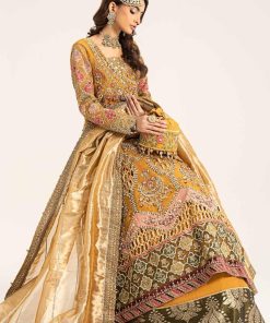 Luxury Formal Mustard Embroidered Organza Outfit Mbds-W2907Md 11 D7 Mustardb Imanistudio.com