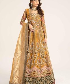 Luxury Formal Mustard Embroidered Organza Outfit MBDS-W2907MD