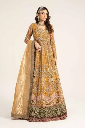 Luxury Formal Mustard Embroidered Organza Outfit Mbds-W2907Md