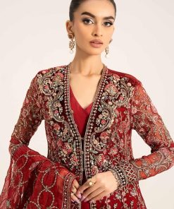 Luxury Formal Deep Red Embroidered Organza Outfit Mbds-W2908Dr 10 D8 Redc Imanistudio.com