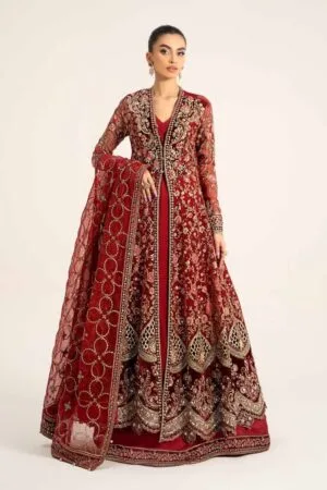 Luxury Formal Deep Red Embroidered Organza Outfit Mbds-W2908Dr