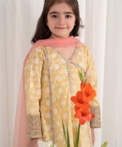 Mariab Banana Embroidered Cotton Lawn Suit Mbkd-Ef2509Bn 15 Mkd Ef2509Yellowc Imanistudio.com