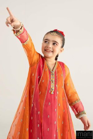 Mariab Kids Orange Embroidered Organza Suit Mbks-Ea2541Og 12 Mks Ea2541Oringea Imanistudio.com