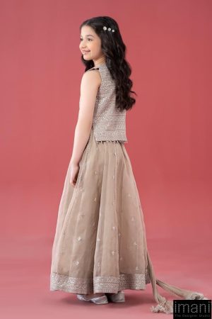 Mariab Kids Simply Taupe Embroidered Raw Silk &Amp; Organza Skirt Suit Mbks-Ef246St 8 Mks Ea2546Cloudymousea Imanistudio.com