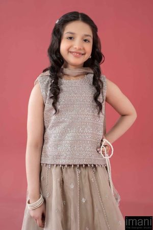 Mariab Kids Simply Taupe Embroidered Raw Silk &Amp; Organza Skirt Suit Mbks-Ef246St 9 Mks Ea2546Cloudymouseb Imanistudio.com