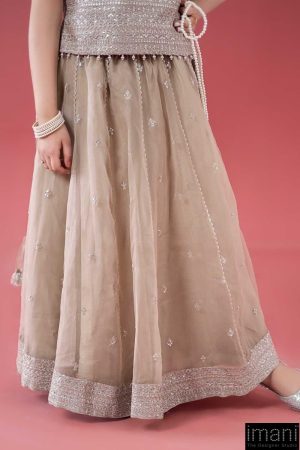 Mariab Kids Simply Taupe Embroidered Raw Silk &Amp; Organza Skirt Suit Mbks-Ef246St 10 Mks Ea2546Cloudymousec Imanistudio.com