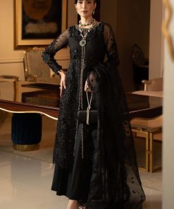 Luxury Formal Black Embroidered Organza Suit MBSF-EF2504BK