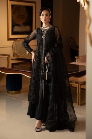 Luxury Formal Black Embroidered Organza Suit Mbsf-Ef2504Bk