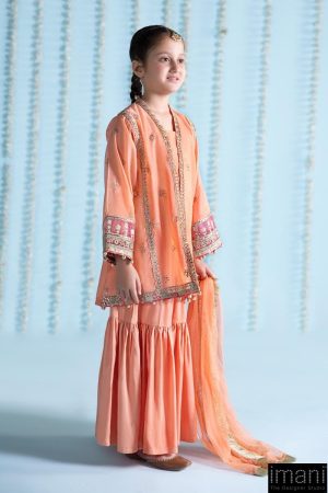 Mariab Kids Light Orange Paper Cotton Embroidered Suit Mbks-Ea2404Lo 8 Mks Ea2404Orangef Imanistudio.com