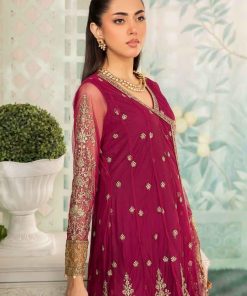 Luxury Formal Magenta Embroidered Net Suit Mbsf-Ea2403Mt 13 Sf Ea2403Pinkd Imanistudio.com