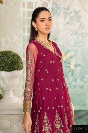 Luxury Formal Magenta Embroidered Net Suit Mbsf-Ea2403Mt 13 Sf Ea2403Pinkd Imanistudio.com
