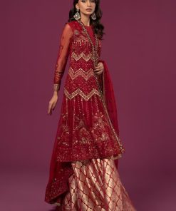 Luxury Formal Deep Red Embroidered Net Suit Mbsf-Ea2428Dr 8 Sf Ef2428Red Imanistudio.com
