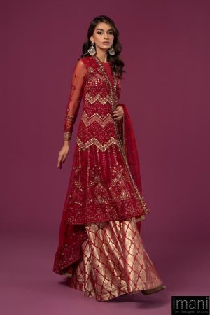 Luxury Formal Deep Red Embroidered Net Suit Mbsf-Ea2428Dr 8 Sf Ef2428Red Imanistudio.com