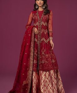 Luxury Formal Deep Red Embroidered Net Suit MBSF-EA2428DR