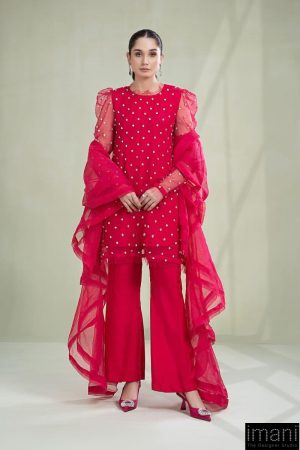 Luxury Formal Fusion Pink Organza Suit Mbsf-Pfw2306Fp
