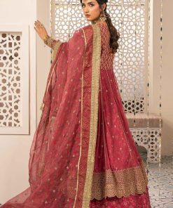 Luxury Formal Pink Embroidered Net Suit Mbsf-W2413Pk 16 Sf W2413Apinka Imanistudio.com