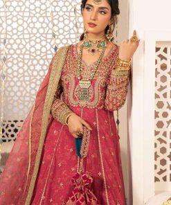 Luxury Formal Pink Embroidered Net Suit Mbsf-W2413Pk 14 Sf W2413Apinkb Imanistudio.com