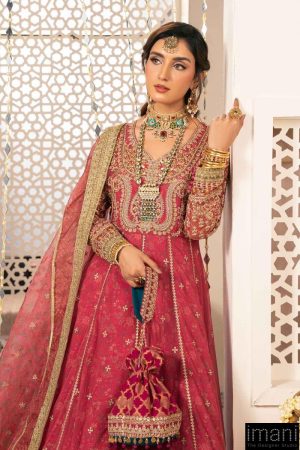 Luxury Formal Pink Embroidered Net Suit Mbsf-W2413Pk 14 Sf W2413Apinkb Imanistudio.com