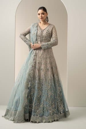 Luxury Formal Ombre Beige/ Aqua Embroidered Net Suit MBDS-W3002BA