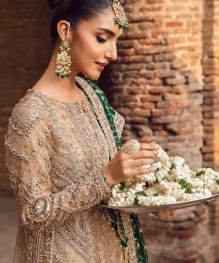 Couture Wedding Wear Widad Coffee Zari Net Outfit Mbmc-1015Cf 9 Mc 1015 Coffeea Imanistudio.com