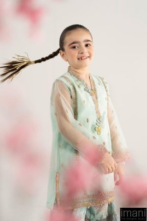 Mariab Kids Light Ferozi Embroidered Poly Organza Suit Mbks-Ea2543Lf 12 Mks Ea2543Greenc Imanistudio.com