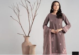 Luxury Pret Dusty Pink Marina Embroidered Suit Mbdw-W2554Dp 10 Dw W2554Pink Imanistudio.com