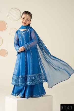 MariaB Kids Blue Embroidered Organza Suit MBKS-W2524BL