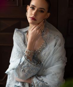 Luxury Formal Sky Blue Embroidered Raw Silk Suit Mbsf-Ef2619Sb 12 Sfef2619Skybluec Imanistudio.com