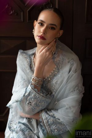 Luxury Formal Sky Blue Embroidered Raw Silk Suit Mbsf-Ef2619Sb 12 Sfef2619Skybluec Imanistudio.com