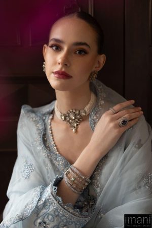 Luxury Formal Sky Blue Embroidered Raw Silk Suit Mbsf-Ef2619Sb 11 Sfef2619Skyblued Imanistudio.com