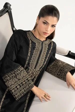 2Pcs Luxury Black Embroidered Raw Silk Co-Ord Set Mbdw-Ea3906Bk 16 Dw Ea2639Blackf Imanistudio.com