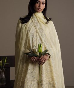 3Pcs Zara Shahjahan Pastel Yellow Raw Silk Zardiya Suit Zszr-F0639Pr 8 Lemon2 Imanistudio.com