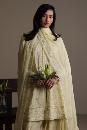 3Pcs Zara Shahjahan Pastel Yellow Raw Silk Zardiya Suit Zszr-F0639Pr 8 Lemon2 Imanistudio.com
