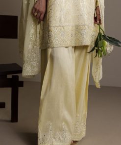 3Pcs Zara Shahjahan Pastel Yellow Raw Silk Zardiya Suit Zszr-F0639Pr 9 Lemon5 Imanistudio.com