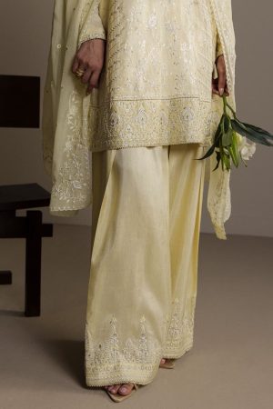 3Pcs Zara Shahjahan Pastel Yellow Raw Silk Zardiya Suit Zszr-F0639Pr 9 Lemon5 Imanistudio.com