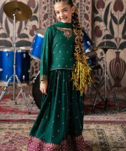 Maria.B 3 Pieces Kids Emerald Green Embroidered Raw Silk Suit MBKS-AW1612EG