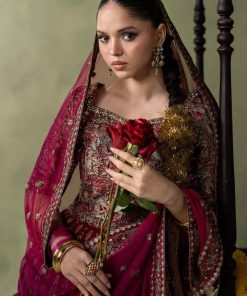 Luxury Formal Pink Embroidered Velvet Lehenga Suit Mbsf-Aw602Cp 11 Sf W2602Pinka Imanistudio.com