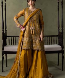 Luxury Formal Mustard Embroidered Net Suit Mbsf-Aw16111Md 11 Luxury Formal Mustard Embroidered Net Suit Mbsf-Aw16111Md