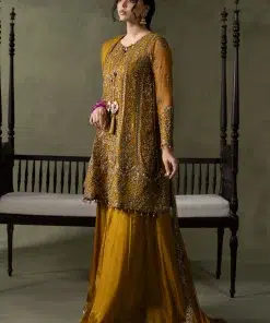 Luxury Formal Mustard Embroidered Net Suit Mbsf-Aw16111Md 12 Sf W26111 Musterd C Imanistudio.com