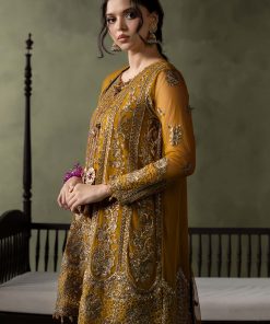 Luxury Formal Mustard Embroidered Net Suit Mbsf-Aw16111Md 16 Sf W26111 Musterd F Imanistudio.com